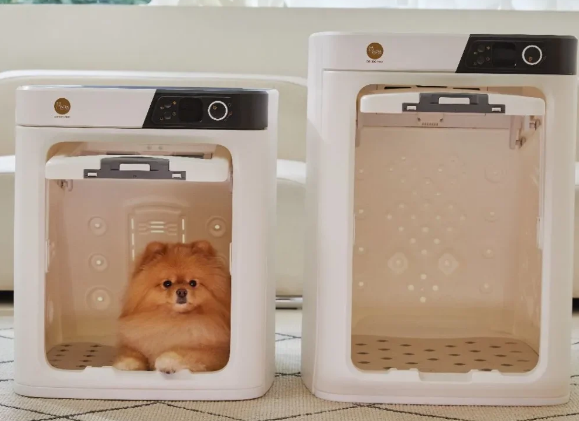 2025泰国曼谷宠物展：行业合作与创新的盛会