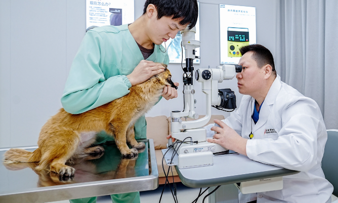 “宠物”专业来了，因应市场需求就是好专业