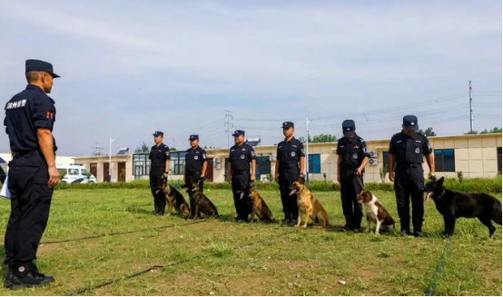 警犬“荣休”，老战友再见！