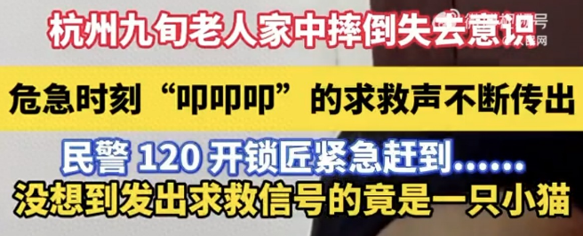 杭州猫咪敲地板救九旬独居老人！万物有灵太好哭了
