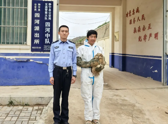 和静警民携手成功救助国家二级保护动物雕鸮
