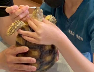 台南寵物展最低3折！2025台南夏季寵物展買一送一