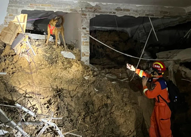 玉林消防搜救犬台风中救出 3 人：与时间赛跑的毛孩子战士