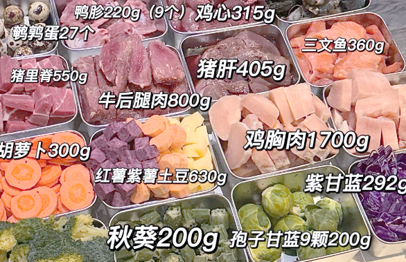 创业做狗饭，月入6万