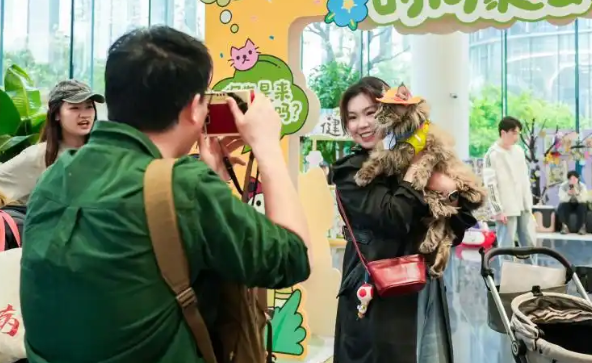 进口猫粮涨价！科学养宠理念正重塑宠物市场