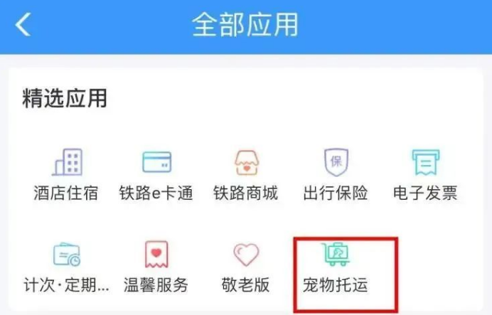 坐火车托运猫咪18小时后等来空箱！
