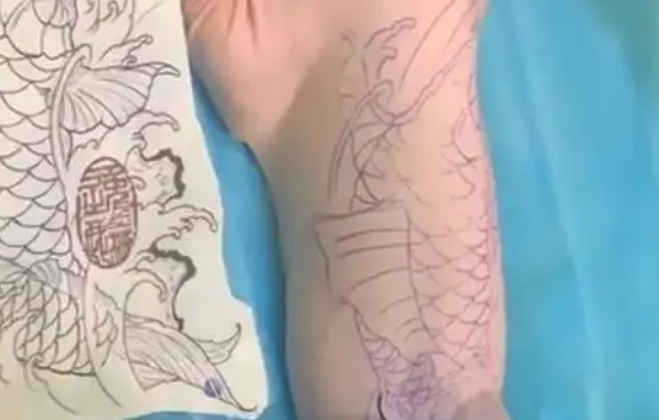 无毛猫被前主人纹身打耳环，纹身师：纹全身3万
