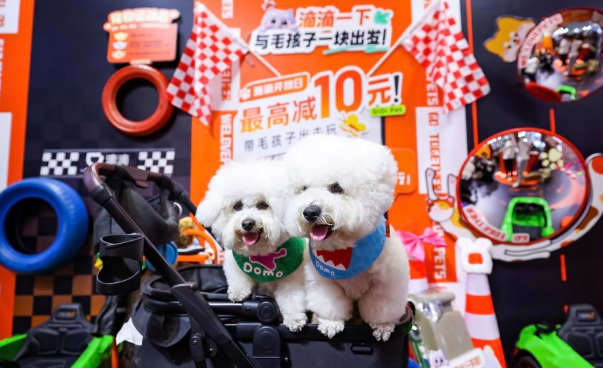 滴滴开放日聚焦宠物出行，司乘多方交流