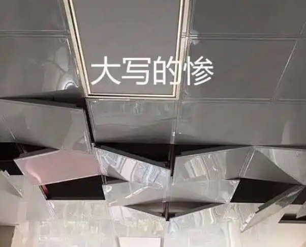 天花板上传来动静，橘猫上去查探，不料主人损失大了