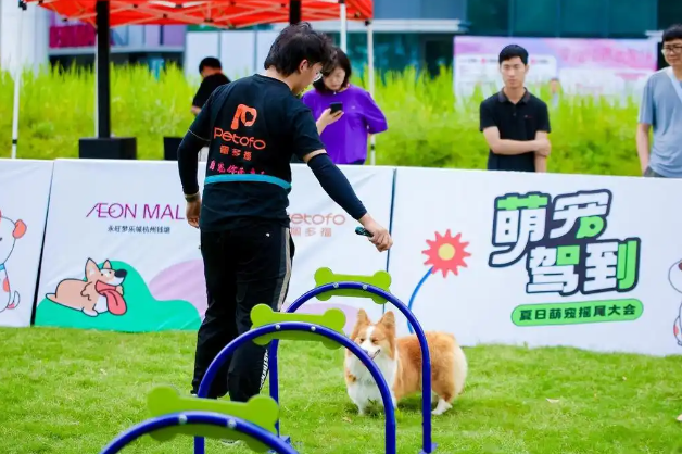 杭州首届宠物生活节举办，引人注目