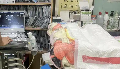 养“异宠”，为何引起国家部委关注？