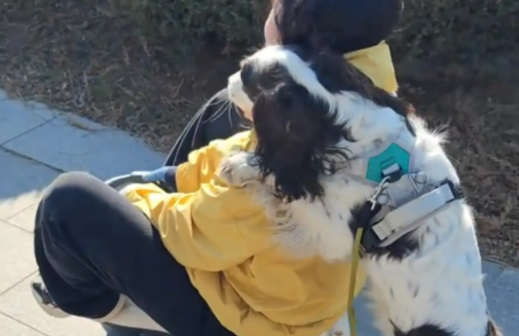 女子跟风买扭扭车让狗子拉自己，狗子却推着她往前走