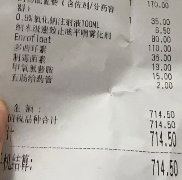 鹦鹉在诊疗中不幸死亡，宠主人要求赔偿遭拒