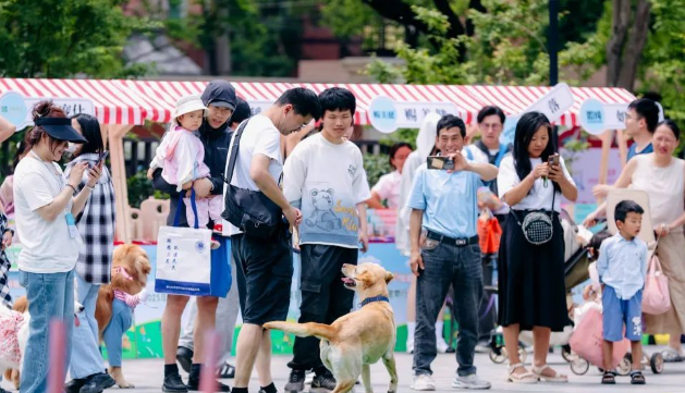 闵行萌宠行业“奥运会”又来了！