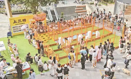 宠物数量超百万只，产业规模达百亿元，深圳“它经济”活力十足