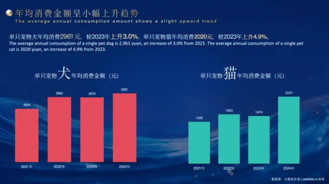 宠物医疗“逆增长”下的专业需求——创新CT或成企业影像布局突破口