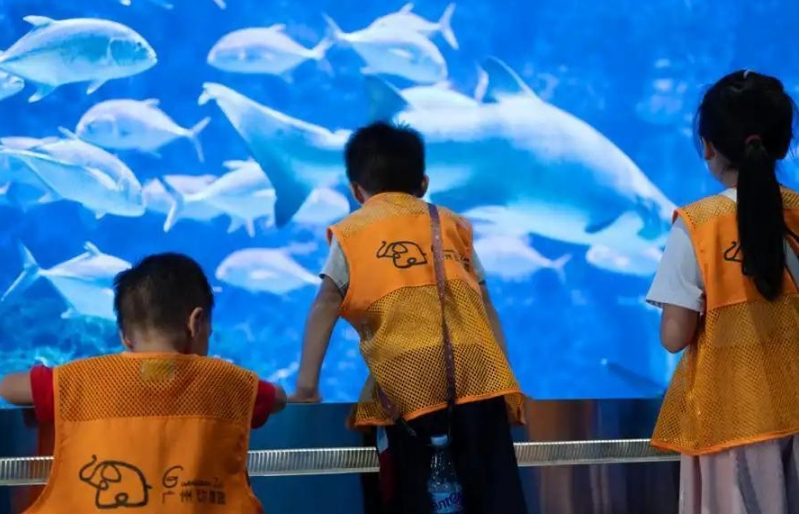 广州动物园首推“海陆空一夜营”，揭秘你没见过的动物王国
