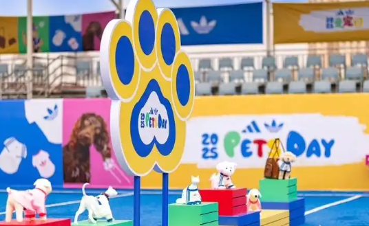 宠物经济新玩法！毛孩子也有潮服了