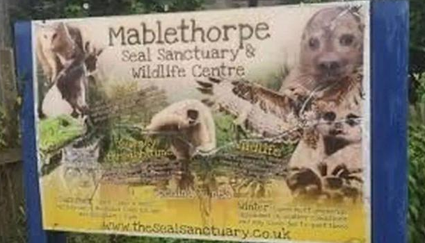 “世界上年龄最大的鸸鹋”在睡梦中去世