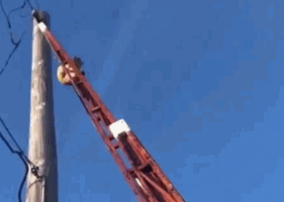 猫咪被困，女子叫消防员来帮忙，不料猫咪自己下来了