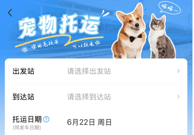 线路由1条增至8条，高铁宠物托运服务试点范围今起扩大
