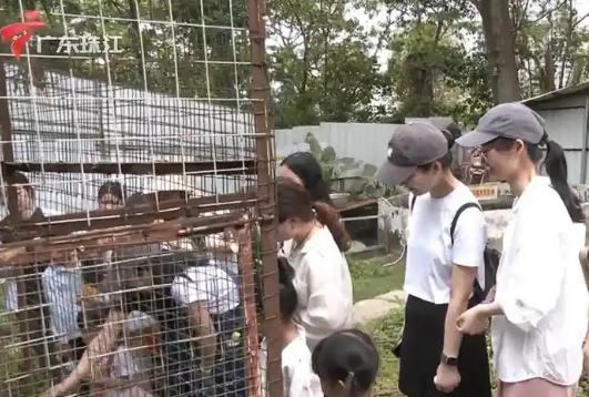 中山一动物园收费仅10元，最火时收入破千，还能免费投喂