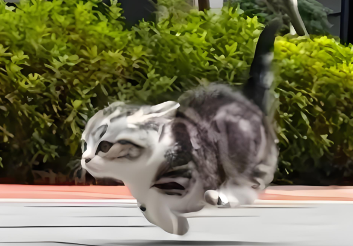 猫咪天黑还没回来，女子给猫咪打电话，猫咪飞快的跑回来了