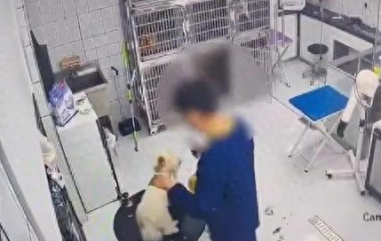 一宠物医院员工暴力摔打宠物狗，院方致歉