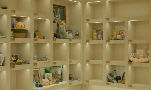 每年数百万只宠物死亡，“身后事”怎么办？