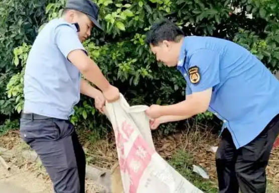 六安一疯犬伤人！当场击毙！