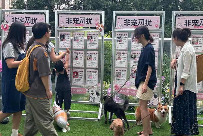 “这届年轻人开始为宠物包办婚姻”，商场“宠物相亲角”走红