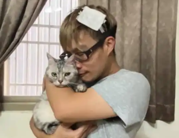 猫从窗户偷跑出去，主人心急如焚，找猫撞头也不在意