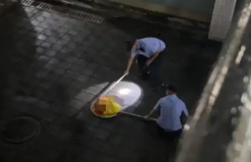 学校保安当学生面打死流浪猫？北理工回应：保安处置不当，已停职调离