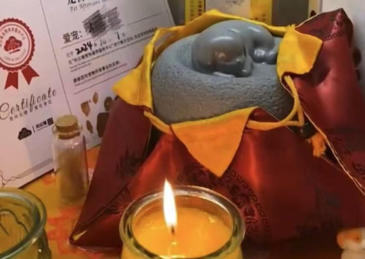 高价宠物殡葬收费达万元，“高情绪价值”还是诱导消费？