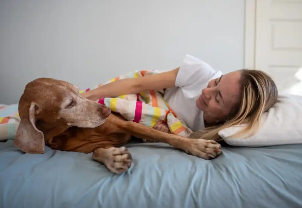 孕妇被狗咬，主人称狗咬的让狗道歉，暴露养宠责任缺失