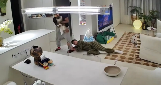 男子让朋友扮成劫匪，把猫咪抢走带去绝育 