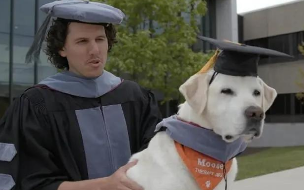 月入三万，宠物界也有自己的算命师