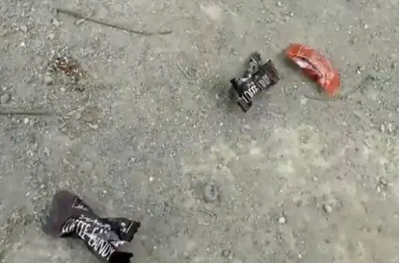 台湾老伯喂狗吃巧克力，狗主暴怒报警