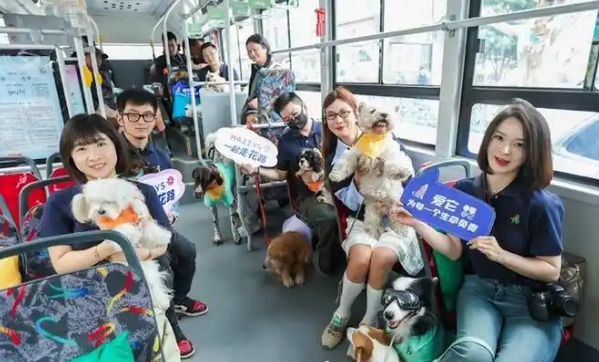 HAZZYS在南京举办爱宠嘉年华，萌力全开！