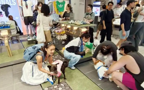 宠物经济：持续升温背后的动因