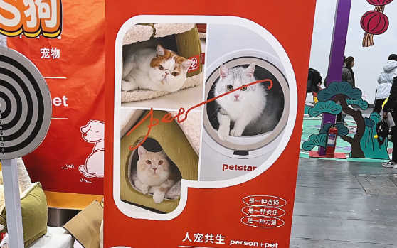 北京宠物展竟有人偷走13个猫窝后现场售卖