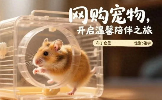 聚焦宠物经济：网购“萌宠”变“病宠 ” 求助消委解烦忧