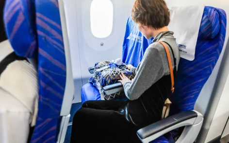 高铁推出宠物托运服务，你会让家里“毛孩子”坐高铁吗？