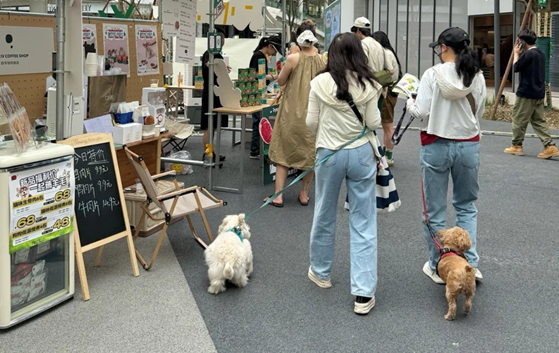 成都宠物消费场景爆火，为大家带来全新体验