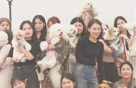 泉州抢占宠物时尚赛道