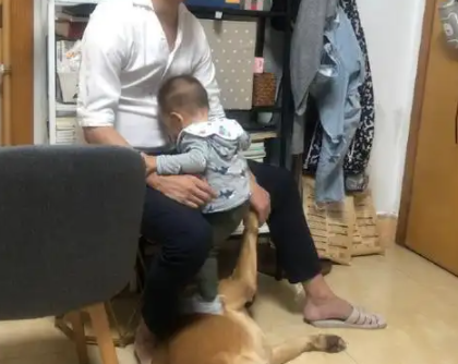 狗狗和孩子争宠，孩子把狗子踩在了脚底下