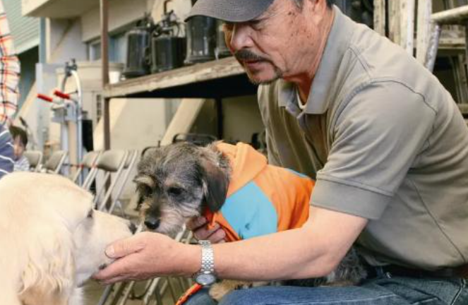 兼职“上门铲屎官”老卢的别样生活