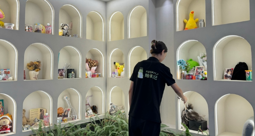 宠物经济升级：一条从生到死的新型产业链条