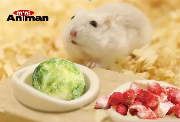 多格漫小宠系列新品上市 