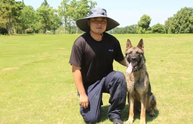 它3岁完成了16次搜救